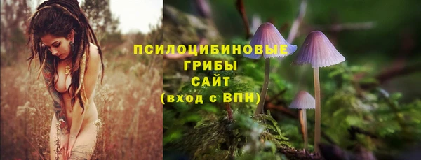 винт Алексин