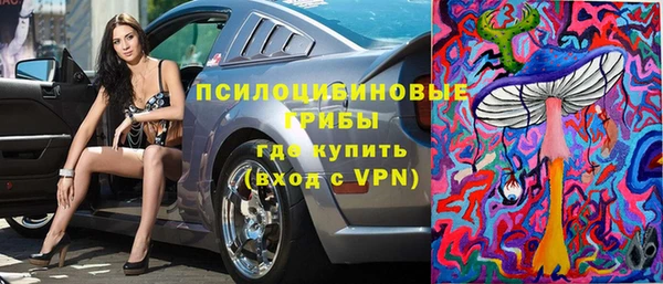винт Алексин