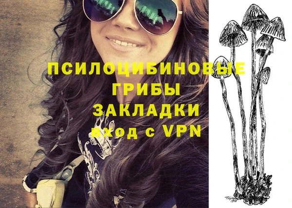 трава Новодвинск